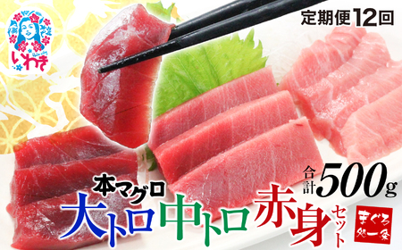 【定期便/計12回】本マグロ大トロ中トロ赤身セット500g（計6kg）【DG014-t12】