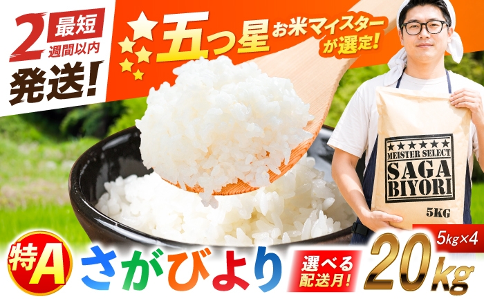 
                  【選べる配送月】【新米・令和8年産 先行予約】さがびより白米 20kg（5kg×4袋）| おこめ ごはん 米 お米 白米 こめ コメ ブランド米 精米 国産 お米 せんまい 特A 新生活 お祝い ギフト 仕送り| 吉野ヶ里町/大塚米穀店[FCW038]
                