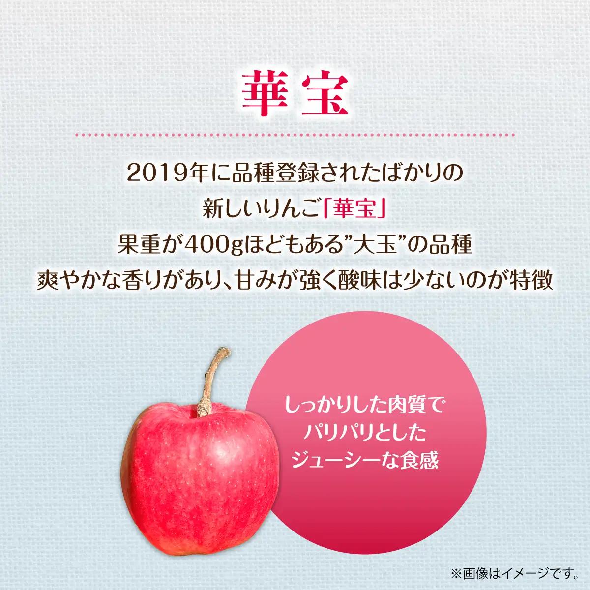 【先行予約】＜2026年10月上旬よりお届け＞北海道壮瞥町　りんご　品種名「華宝」10～16玉約5kg SBTF015