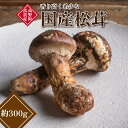 【ふるさと納税】和歌山県産 香り高く希少な国産 松茸 約300g【2025年10月中旬頃より順次発送】【OKT2】 | 野菜 やさい 食品 人気 おすすめ 送料無料