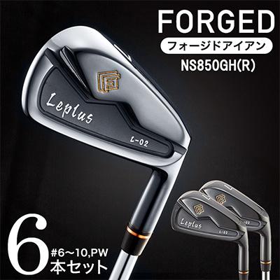 ふるさと納税 市川町 FG-Leplus L-02アイアン　#6〜10,Pw(NS850GH R) 700BE03N