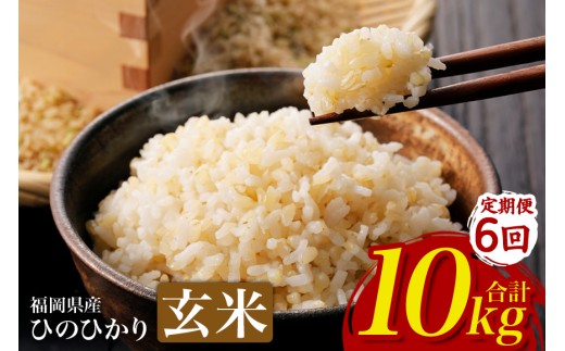 【6回定期便】【ふるさと納税】ひのひかり 米 お米  玄米  10kg  10キロ 福岡県産 うきは市 国産 精米 ご飯 ごはん おにぎり お弁当 人気 おすすめ 家庭用 送料無料 新米 ストック 厳選 農家直送 大容量【JA福岡くるめ にじの耳納の里】