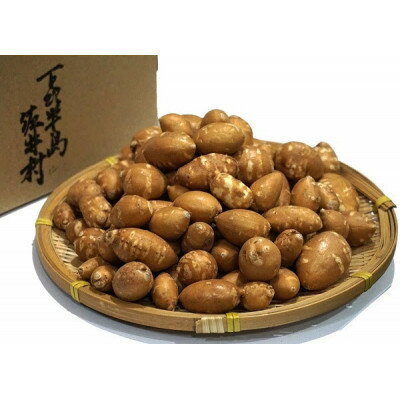 【ふるさと納税】佐井村のアピオス(蒸し冷凍アピオス)【配送不可地域：離島】【1655500】