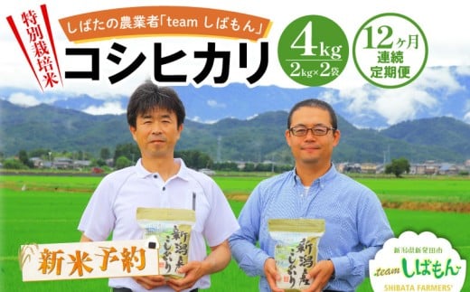 【R8年産先行予約】新米 定期便 4kg×12ヵ月 新潟県産 特別栽培米コシヒカリ 新潟県 新潟産 新発田産 米 コシヒカリ 特別栽培米 しばもん 2kg 2袋 12ヵ月 定期便 48kg D30_04Y