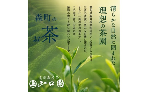 森の茶上煎茶 かおり 100g×10袋 茶 お茶 緑茶 煎茶 茶葉 森町 静岡県