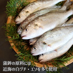 舞鶴かまぼこ・天ぷら詰合せ「華吹雪」 蒲鉾5個・天ぷら3個 舞鶴かまぼこ かまぼこセット かまぼこと天ぷら かまぼこ盛り合わせ 舞鶴名産かまぼこ 人気かまぼこ 嶋七かまぼこ 名産かまぼこ かまぼこお土