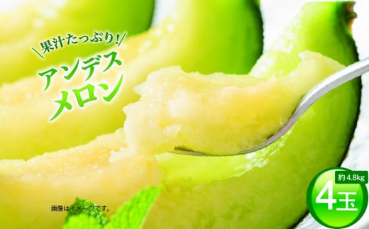 【アンデスメロン】＼生産量日本一！／ アンデスメロン（4玉入り1箱）計4.8kg前後　アンデスメロン メロンの村田 選べる玉数 先行予約 青肉 追熟 産地直送 メロン めろん おすすめ 人気 大きい 定番 ギフト プレゼント 贈り物 国産 フルーツ 果物 茨城 鉾田