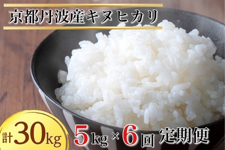 令和6年産 京都丹波産キヌヒカリ 精米 定期便 5kg 6回 JA京都たわわ朝霧 米 白米 新米 お米 丹波産米