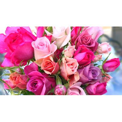 ふるさと納税 杵築市 『天使のバラ』薔薇だけのミニ丈ブーケ(ピンク系)Lサイズ |  | 03