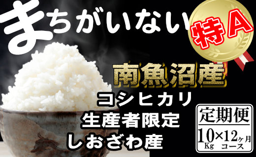 【令和7年産】【定期便】生産者限定 契約栽培　南魚沼しおざわ産コシヒカリ（10Kg×12ヶ月）【2025年10月上旬より順次発送予定】