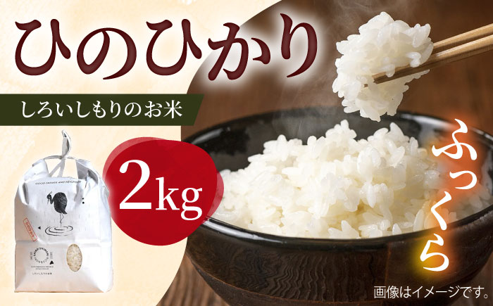 【令和7年産】 しろいしもりのお米 ひのひかり 2kg【Sunrise328】米 お米 白米  令和8年発送[ICD010]