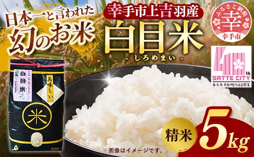 
                  【令和8年産米】幻のお米 日本一美味 と言われた 白目米 5kg - お米 白米 精米 御納米 しろめまい ご飯 ごはん 5キロ カレー ピラフ 安心 安全 おすすめ 送料無料 埼玉県 幸手市
                