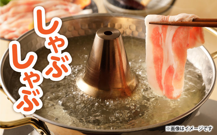 【12回定期便】ながさき健王豚うす切り・切り落とし(ロースうす切り500g・バラうす切り500g・モモ切り落とし500g）　/　肉　豚肉　うす切り　ロース　バラ　モモ　切り落とし　/　諫早市　/　長崎