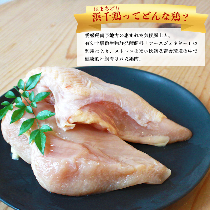 ＜【3ヶ月定期便】銘柄鶏 浜千鶏 愛媛県産 若鶏むね肉 5kg（1kg×5）＞ 国産 鶏肉 大容量 業務用 家庭用 鳥肉 とり チキン ムネ はまちどり 精肉 塊 ブロック 定期便 産地直送 マルハフ