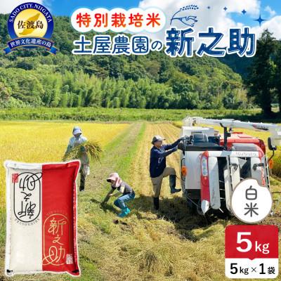 ふるさと納税 佐渡市 令和7年産 佐渡島産 新之助 白米5kg 土屋農園 栽培期間中農薬・化学肥料5割減