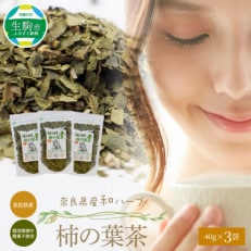 奈良県産柿の葉茶　40g×3