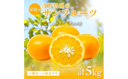 【先行予約】【家庭用】浅野農園のサンフルーツ5kg ※離島への配送不可（2026年4月中旬頃より順次発送予定） 【 ふるさと納税 人気 おすすめ ランキング 柑橘 みかん ミカン オレンジ  サンフルーツ フルーツ 果物 くだもの 旬 愛媛県産 愛媛みかん 浅野農園 愛媛県 伊方町 送料無料 】IKTAC010