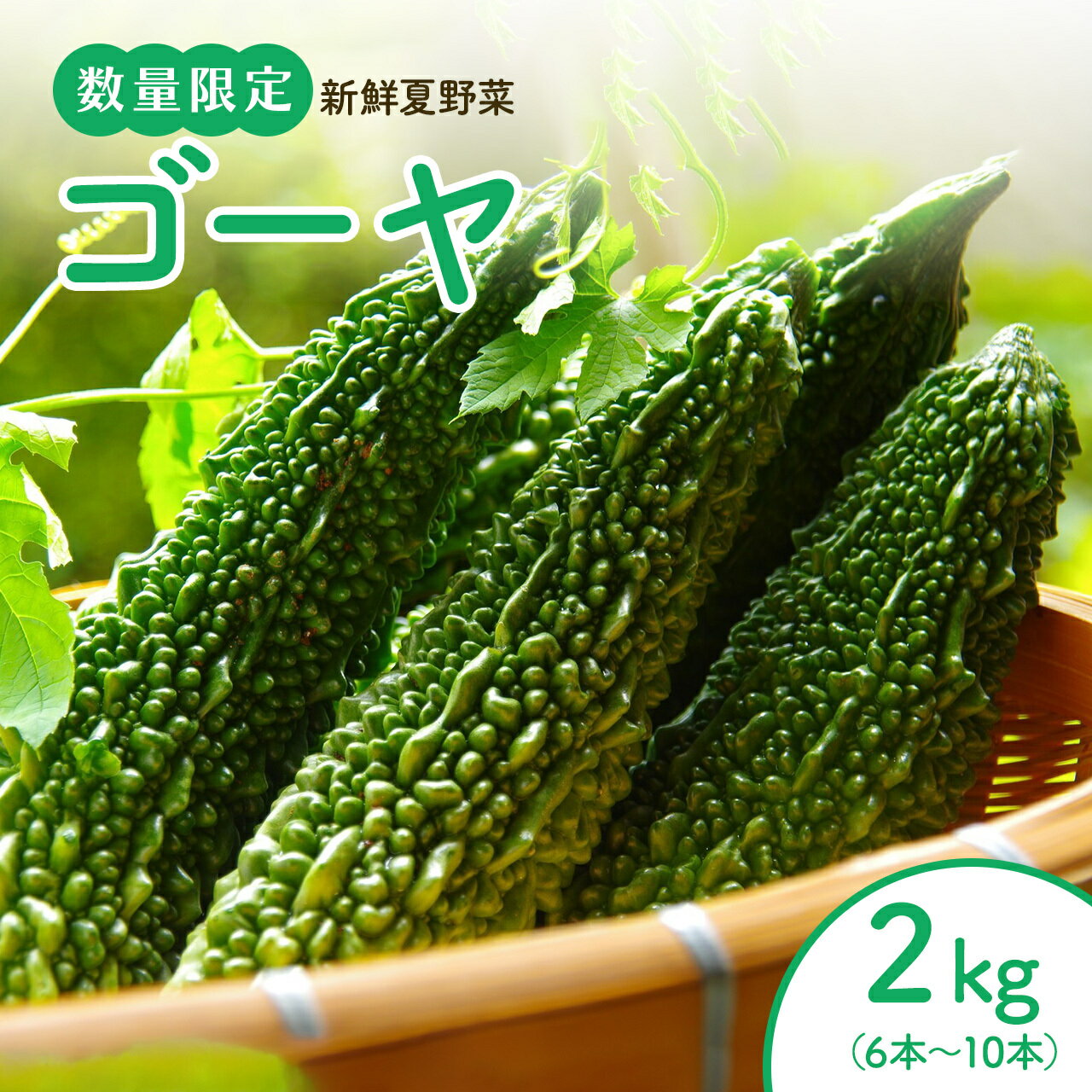 【ふるさと納税】 ＜ 先行受付 夏季限定 ＞ ゴーヤ 結いの街 新鮮夏野菜野菜！ 2kg 6本～10本 | ゴーヤ ニガウリ 野菜 夏野菜 やさい 夏 美味しい 鹿児島 大崎町