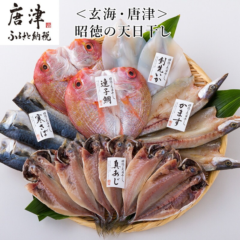 昭徳の天日干し 1枚60g~90g 全16枚(真あじ開き60g×6枚 真さば片身90g×3枚 かます開き80g×3枚 連子鯛開き180g×2枚 剣先いか開き70g×2枚) おかず ギフト