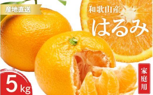 
                  【先行予約】家庭用 訳あり はるみ 和歌山 有田 2S～3Lサイズ混合 5kg【1月下旬～3月下旬までに順次発送予定】/ みかん フルーツ 果物 くだもの 蜜柑 柑橘【ktn047】
                