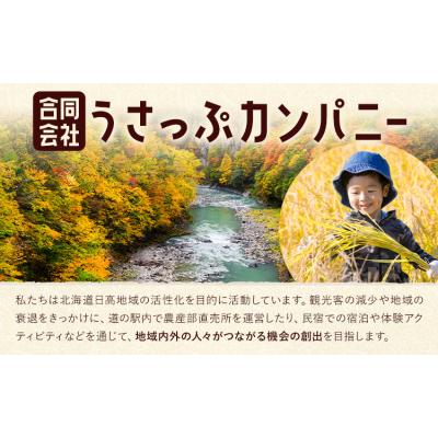 ふるさと納税 日高町 激流 ラフティング体験ツアー 半日コース 1名様《30日以内に出荷予定(土日祝除く)》