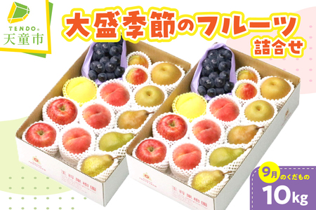 大盛 季節 の フルーツ 詰合せ ( 9月分 ) 10kg フルーツ 果物 山形 08-03-036