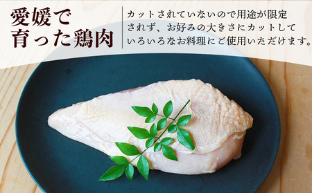 ＜愛媛県産 銘柄鶏 浜千鶏（はまちどり）若鶏むね肉 5kg（1kg×5）3ヶ月定期便＞ 国産 鶏肉 大容量 業務用 家庭用 鳥肉 とり チキン ムネ 精肉 塊 ブロック 定期便 産地直送 愛媛県 西予