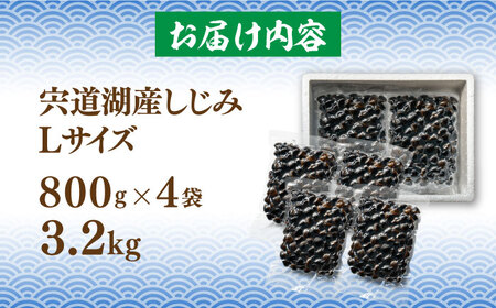 宍道湖産 冷凍大和しじみ 砂抜き済 Lサイズ 3.2kg　23020-17