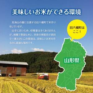 SE0402　令和7年産 【無洗米】 ひとめぼれ 10kg(5kg×2袋) 農家直送・鳥海山麓やわたの米 TR