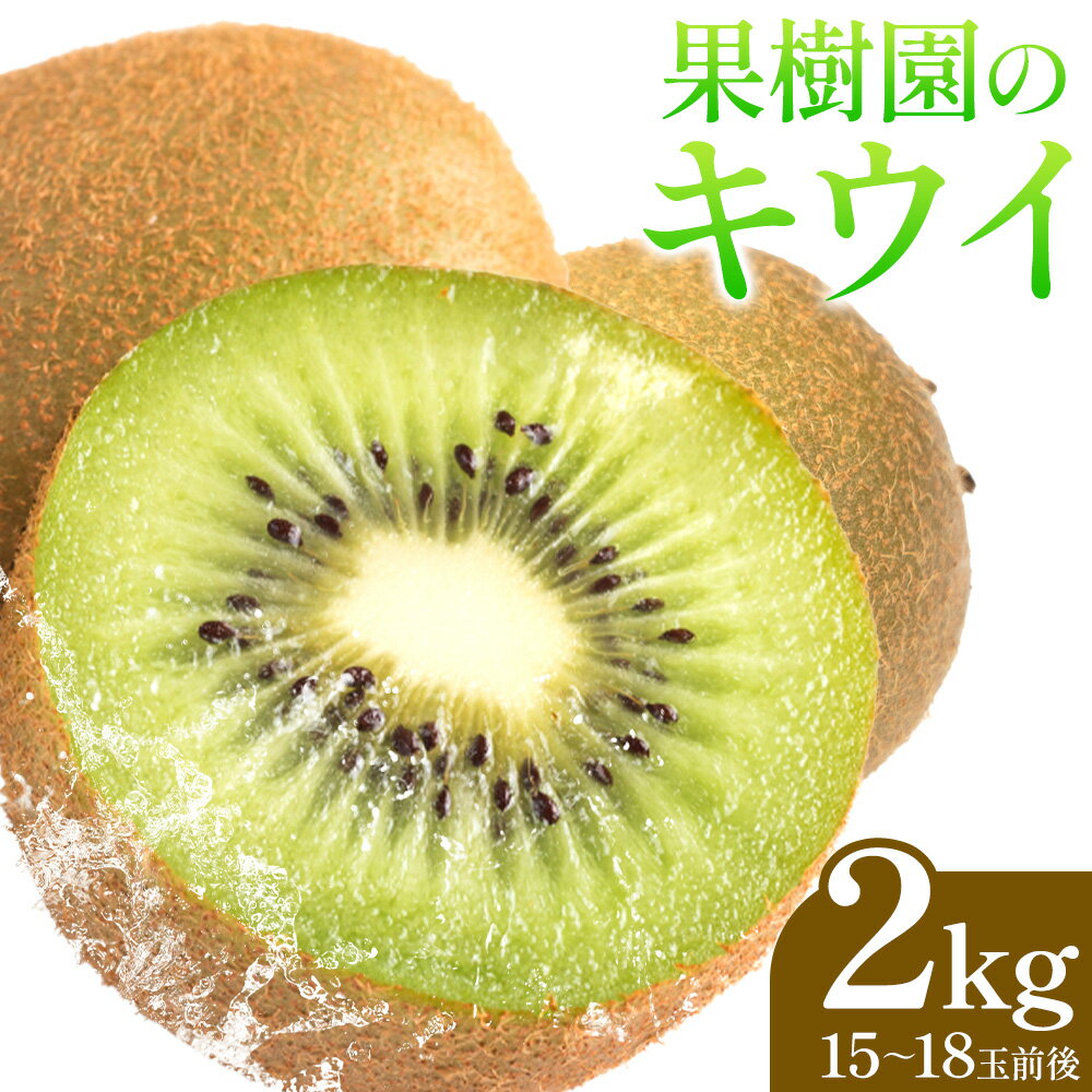 【ふるさと納税】果樹園のキウイ 2kg (15~18玉) 水代果樹園《12月上旬-12月末頃より出荷》千葉県 流山市 果物 キウイ フルーツ グリーンキウイ ヘイワード