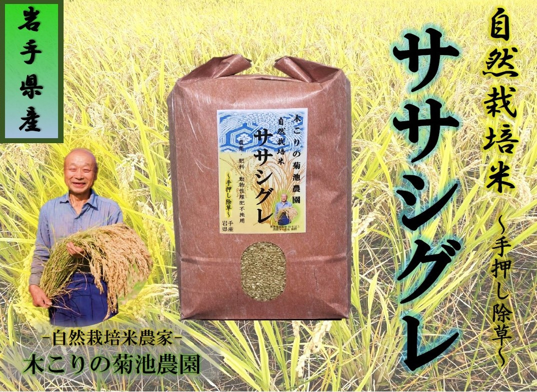 
            【数量限定】木こりの菊池農園 自然栽培米【ササシグレ】(白米・玄米)　10㎏　新米 米 希少 ご飯 ごはん おにぎり お米 炊きたて 岩手県 北上市 I0040
          