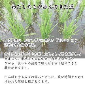 【令和7年産】新見庄米 コシヒカリ 玄米 30kg （30kg×1袋）定期便3回 2か月に1回