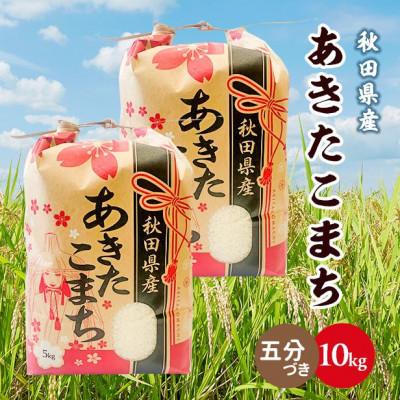 ふるさと納税 潟上市 【毎月定期便】秋田県産あきたこまち 10kg(5kg×2袋)(五分づき)全6回