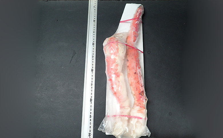 根室海鮮市場＜直送＞ボイルたらばがに脚約1kg(脚2本シュリンク爪あり)×2P(エアブラスト凍結) D-28050