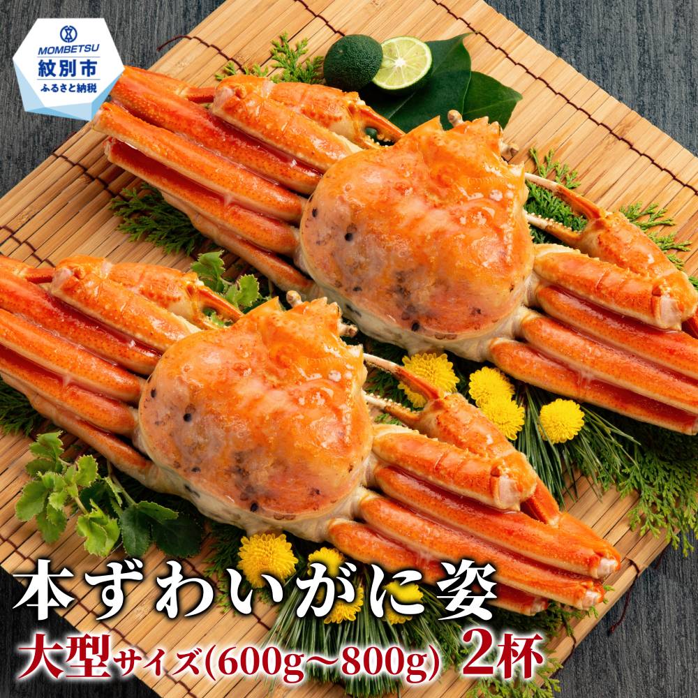 20-324 本ずわいがに姿 大型サイズ2杯 約600～800g<br>