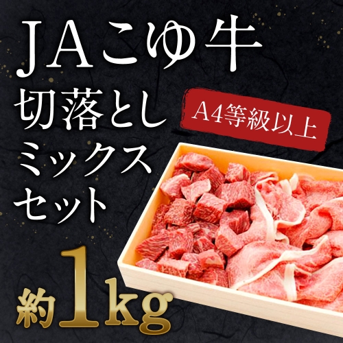 宮崎黒毛和牛＜JAこゆ牛＞切り落としミックスセット1kg ※90日以内に出荷【B30】