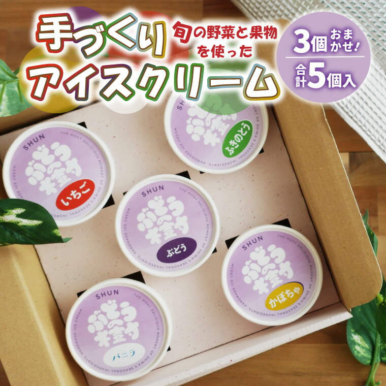 【ふるさと納税】アイスクリーム 5種セット 手作り 詰め合わせ ギフト セット アイス 人気 国産 バニラ ぶどう 野菜 果物 フルーツ ぶどうの樹 紫波町 (EV001)