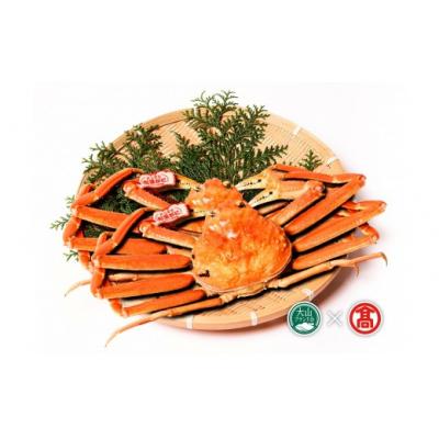 ふるさと納税 境港市 <土日祝着※指定日不可2026年11月〜2027年2月下旬発送予定>【タグ付】活〆ボイル松葉蟹2杯