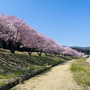 広町パークゴルフ場　１日利用券　２枚【 神奈川県 南足柄市 】