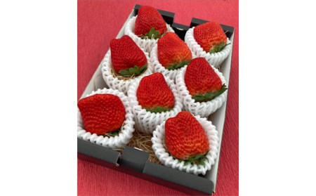 【紅ほっぺ】プレミアムいちご No.304