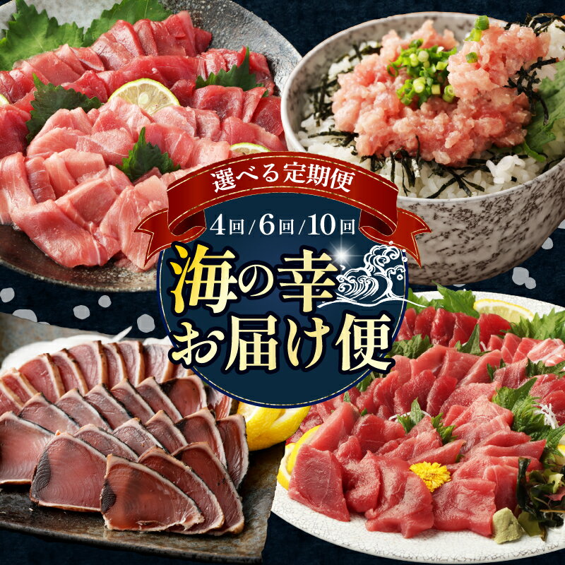 【ふるさと納税】 【 選べる定期便 】 タカシン水産厳選 海の幸お届けセット 4ヶ月連続 マグロ 刺身 刺し身 魚 惣菜 海鮮丼 魚介類 食べきりサイズ 小分け 冷凍 訳あり 不揃い 規格外 定期 連続 50,000円 寄付額見直し tk111