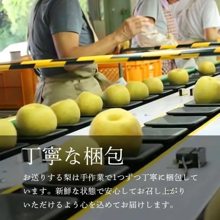 秋月梨 箱込約 5kg（JA新ひたち野）梨 約 8玉 ～12玉 (B01-002)