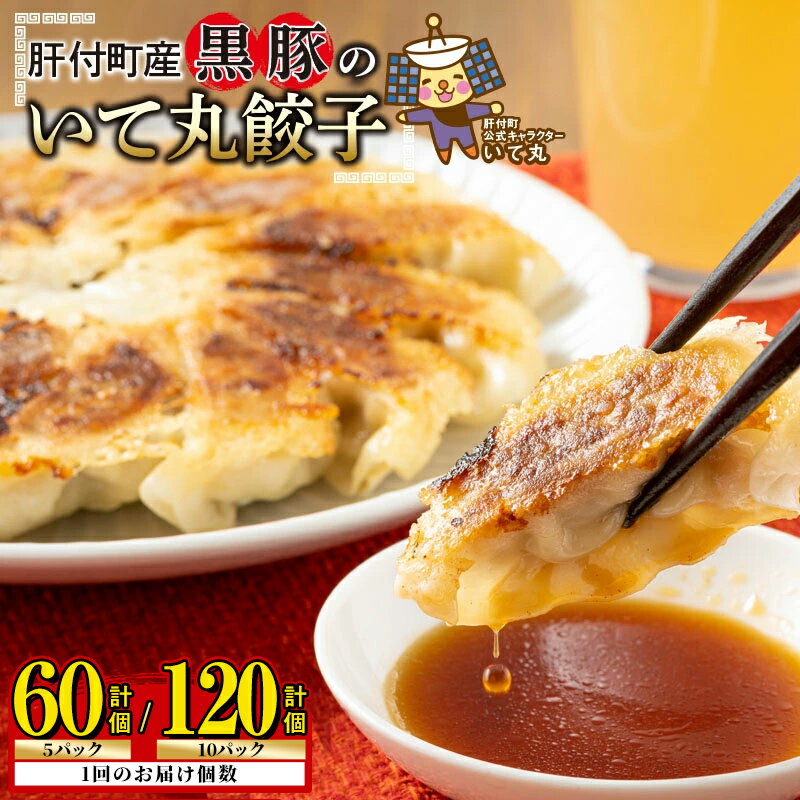 【ふるさと納税】＜お届け回数が選べる＞鹿児島県 肝付町産 黒豚 餃子 ギョーザ ＜1パック 12個入り＞ (計60個 or 計120個) ≪ パリッ と もっちり で ジューシー ≫ ぎょうざ たれ付き パリパリ もちもち ジューシー おかず 冷凍 豚肉 国産 定期便 全3回 連続月 【財宝】