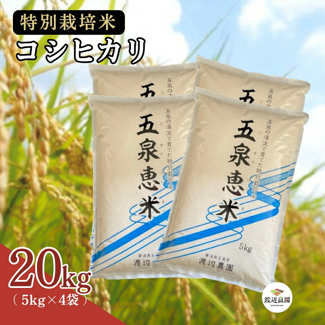 【ふるさと納税】 令和7年産 米 20kg 五泉産 コシヒカリ五泉恵米 特別栽培米 | 白米 精米 こしひかり お米 おこめ コメ こめ おすすめ 人気 新潟県 五泉市 渡辺農園