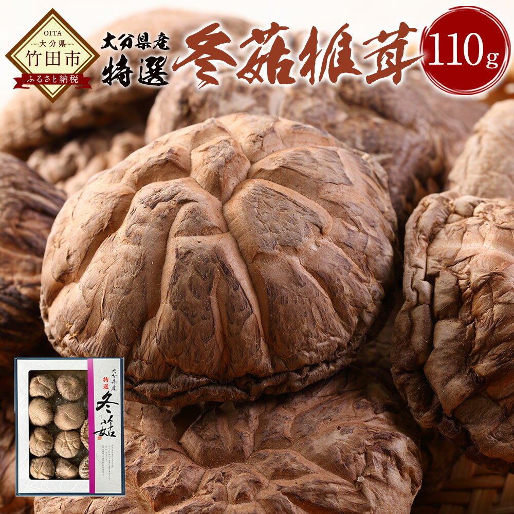 【ふるさと納税】大分県産 特選どんこ椎茸 110g 乾しいたけ しいたけ シイタケ きのこ どんこ 干し 国産 九州産 だし 原木 FT10 送料無料