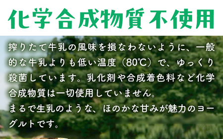 【定期便6回】ヨーグルト500ｇ（プレーン）6個セット／ 無糖 ネッカ牛乳 ノンホモ製法 牧場 直送