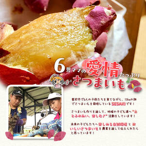 ＜先行予約受付中・2025年8月以降順次発送予定＞鹿児島県曽於市産！新物 紅はるか(10kg) 芋 さつまいも 紅はるか【瀬崎農園】A350-v02