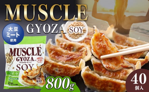 【定期便6回】MUSCLE GYOZA SOY ～マッスルギョーザソイ～ 冷凍餃子 40個入り 1袋 | 餃子 ギョーザ 高タンパク 低糖質 低脂質 低カロリー マッスルギョーザ 材料 大豆 ミート 長野県 松本市 信州産 ふるさと納税