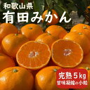 【ふるさと納税】先行予約 和歌山県 完熟 有田みかん 5kg 甘味凝縮 小粒 産直43年 武内園 | 有田みかん みかん ミカン mikan 有田 有田川 ありだ 和歌山 送料無料 フルーツ 果物 オレンジロード 本場 甘い 濃厚 コク お取り寄せ グルメ 糖度