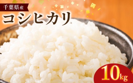 コシヒカリ 米 お米 10kg 令和8年産 新米 国産 国産米 コメ おこめ ご飯 ごはん しんまい ※ kome okome 千葉県産 白米 ライス おにぎり おむすび 千葉県産米 お取り寄せ グルメ ギフト 日用品 贈答 贈り物 グルメ こだわり 非常食 常備食 防災 弁当 料理 朝ご飯 夜ごはん 送料無料 ふるさと納税 ふるさと納税米 ふるさと納税お米 銚子 千葉県 銚子市 サンズファーム